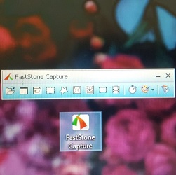 FastStone Capture90