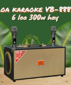 Loa karaoke VB-8888 kèm 2 micro